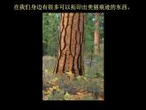 人美版 美術(shù)二年級上冊 第9課 我們身邊的痕跡(6) 課件