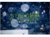 人教版小學美術一年級下冊《第11課太空里的植物》PPT課件