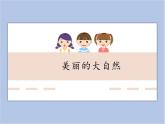 辽海版美术一下12.美丽的大自然 优秀课件PPT