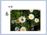 辽海版美术一下12.美丽的大自然 优秀课件PPT
