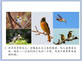 辽海版美术一下15.给小鸟安个家 优秀课件PPT