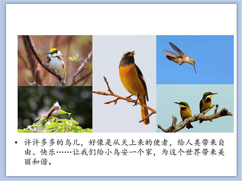辽海版美术一下15.给小鸟安个家 优秀课件PPT02