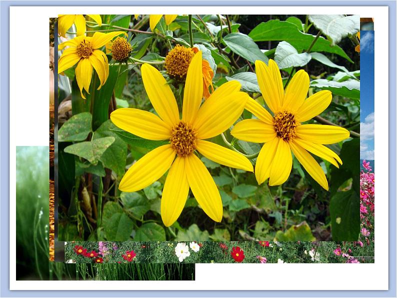 辽海版美术二下02.混色练习 优秀课件02