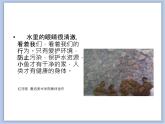 辽海版美术二下08.水里也有眼睛 优秀课件