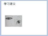 辽海版美术二下08.水里也有眼睛 优秀课件