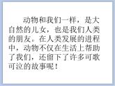 辽海版美术三下08动物朋友 优秀课件