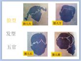 辽海版美术四下14《我的朋友们》 优秀课件