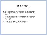 辽海版美术六下14草地上的风景 优秀课件