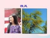 三年級(jí)美術(shù)下冊(cè)第6課風(fēng)來了課件1湘美版