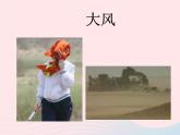 三年級(jí)美術(shù)下冊(cè)第6課風(fēng)來了課件3湘美版