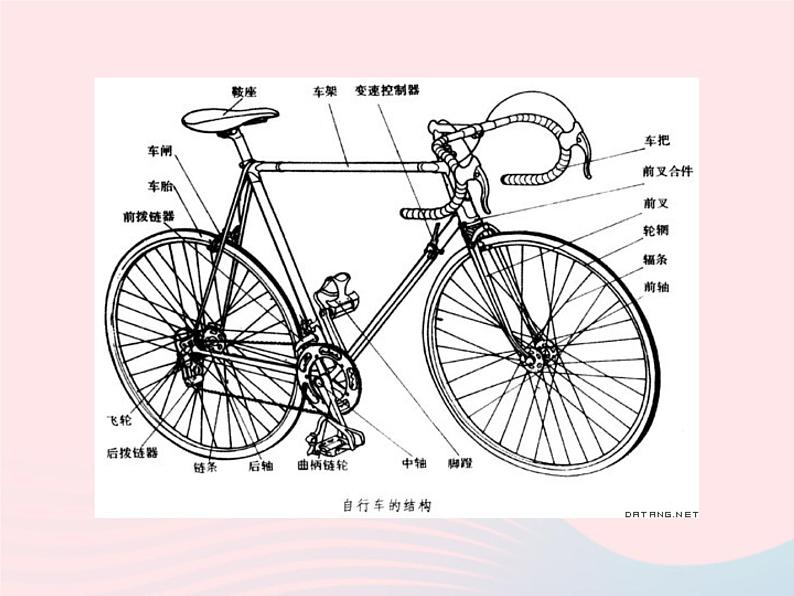 三年级美术下册第11课一路轻骑课件2湘美版第7页