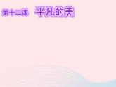 四年級美術(shù)下冊第12課平凡的美課件1新人教版