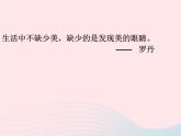 四年級美術(shù)下冊第12課平凡的美課件1新人教版