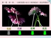 四年級美術(shù)下冊第6課花團(tuán)錦簇課件3湘美版
