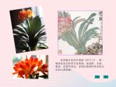 四年級美術(shù)下冊第1課植物寫生課件1人美版