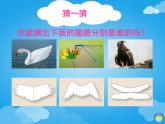 一年級美術(shù)下冊第15課會飛的翅膀課件2湘美版