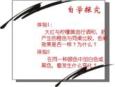 五年級美術(shù)下冊第2課同一幅畫課件1湘美版