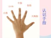 一年級美術下冊第3課手形添畫課件1湘美版