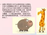 我們的動物樂園PPT課件免費下載