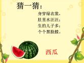 湘美版 美術(shù)二年級上冊 5. 瓜果飄香(1)（課件）