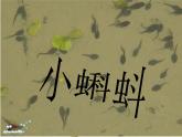 湘美版 美術(shù)二年級(jí)上冊(cè) 10 小蝌蚪（課件）