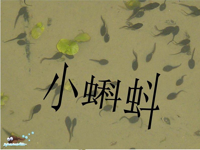 湘美版 美术二年级上册 10 小蝌蚪（课件）05