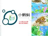 湘美版 美術(shù)二年級上冊 10. 小蝌蚪（課件）