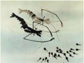 湘美版 美術(shù)二年級上冊 10. 小蝌蚪（課件）