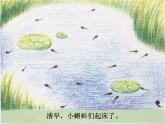 湘美版 美術(shù)二年級上冊 10. 小蝌蚪(2)（課件）