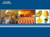 美術(shù)三年級(jí)上冊(cè)人美版 第7課 黃色和藍(lán)色的畫(huà)(20)  課件