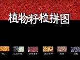 美術(shù)三年級上冊人美版 第3課 有趣的拼圖 (2)  課件