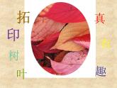 美術(shù)三年級上冊人美版 第11課 拓印樹葉真有趣  課件