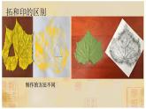 拓印樹葉真有趣PPT課件免費下載