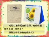 美術(shù)三年級(jí)上冊(cè)人美版 第9課 臺(tái)歷的設(shè)計(jì)(18)  課件
