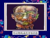 美術(shù)三年級上冊人美版 第16課  一張奇特的臉(2)  課件