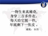 美術(shù)三年級上冊人美版 第9課 臺歷的設(shè)計(13)  課件