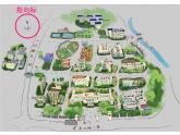 小學(xué)三年級(jí)下冊(cè)美術(shù)課件-2.3上學(xué)的路-嶺南版(13張)ppt課件