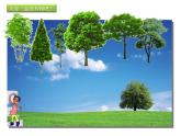 小学三年级下册美术课件-第4课绿色家园-浙美版(27张)ppt课件
