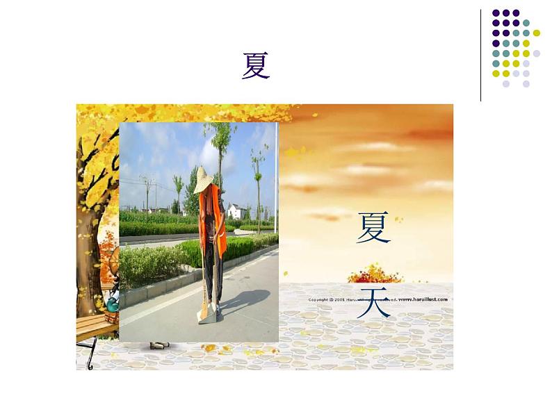 城市美容师PPT课件免费下载08