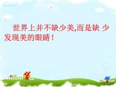 窗口PPT课件免费下载