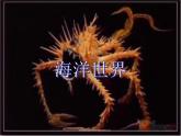 小學(xué)四年級(jí)上冊(cè)美術(shù)課件-第6課海洋世界-蘇少版(17張)ppt課件