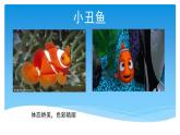 小學(xué)四年級(jí)上冊(cè)美術(shù)課件-第6課海洋世界-蘇少版(38張)ppt課件