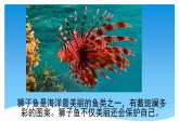 小學(xué)四年級(jí)上冊(cè)美術(shù)課件-第6課海洋世界-蘇少版(38張)ppt課件