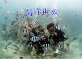 小學(xué)四年級(jí)上冊(cè)美術(shù)課件-第6課海洋世界-蘇少版(29張)ppt課件
