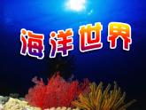 小學(xué)四年級(jí)上冊(cè)美術(shù)課件-第6課海洋世界-蘇少版(24張)ppt課件