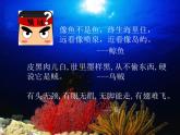 小學(xué)四年級(jí)上冊(cè)美術(shù)課件-第6課海洋世界-蘇少版(24張)ppt課件