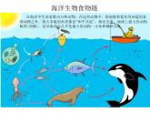 小學(xué)四年級(jí)上冊(cè)美術(shù)課件-第6課海洋世界-蘇少版(24張)ppt課件
