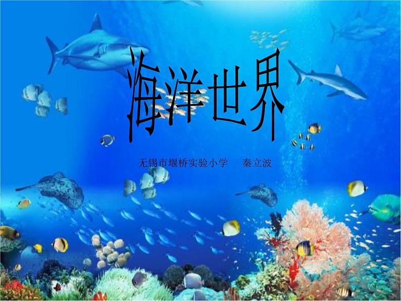 小学四年级上册美术课件-第6课海洋世界-苏少版(20张)ppt课件第2页