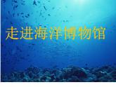 小學(xué)四年級(jí)上冊(cè)美術(shù)課件-第6課海洋世界-蘇少版(28張)ppt課件