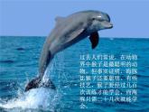 小學(xué)四年級(jí)上冊(cè)美術(shù)課件-第6課海洋世界-蘇少版(28張)ppt課件